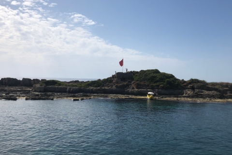 Lado: Paseo en barco por la isla de los delfines con almuerzo