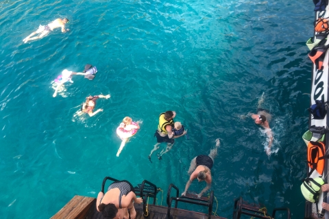 Lado: Paseo en barco por la isla de los delfines con almuerzo