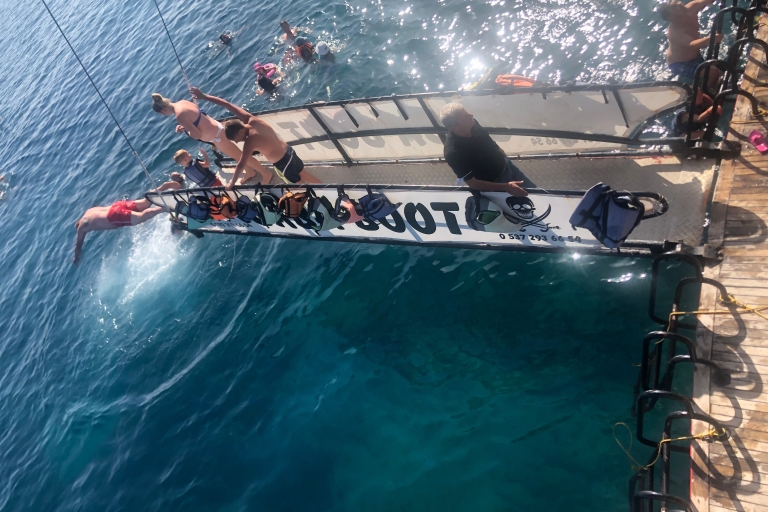 Sidé : balade en bateau vers l'île aux dauphins et déjeuner