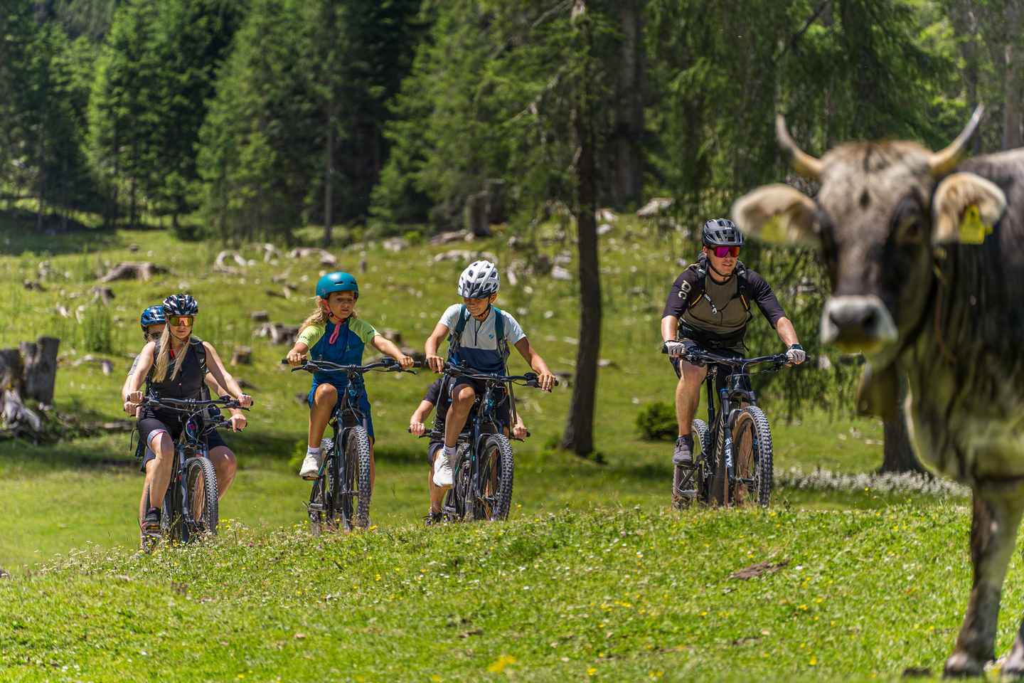 Tour en Bicicleta Eléctrica