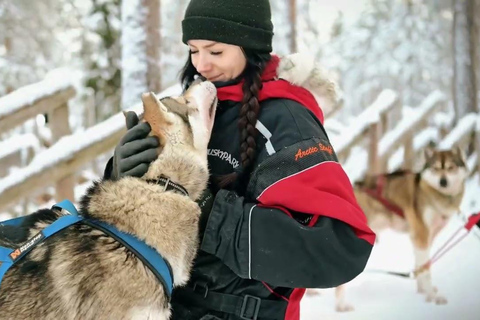 Rovaniemi: Husky Sled Ride and Farm Visit