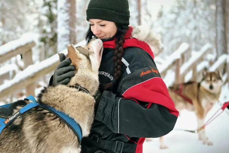 Rovaniemi: Paseo en trineo tirado por huskies y visita a una granja