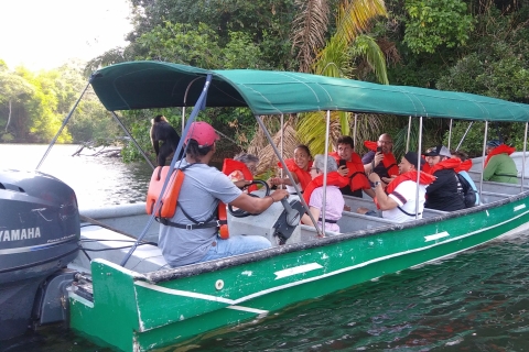Depuis Panama (ville) : île aux Singes et village indigèneExcursion en anglais