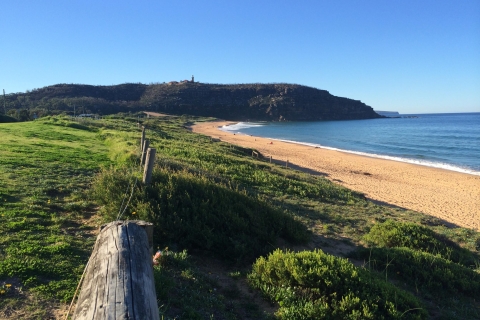 Vanuit Sydney: Home and Away-locatietour"Home and Away"-tour - Filming Very Likely