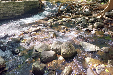 Tour particular de luxo e único no sudoeste da Maurícia