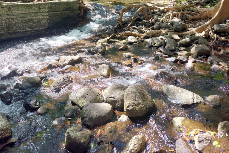 Tour particular de luxo e único no sudoeste da Maurícia