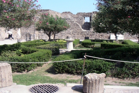 Sorrente : visite de Pompéi et d'Herculanum avec billet coupe-file