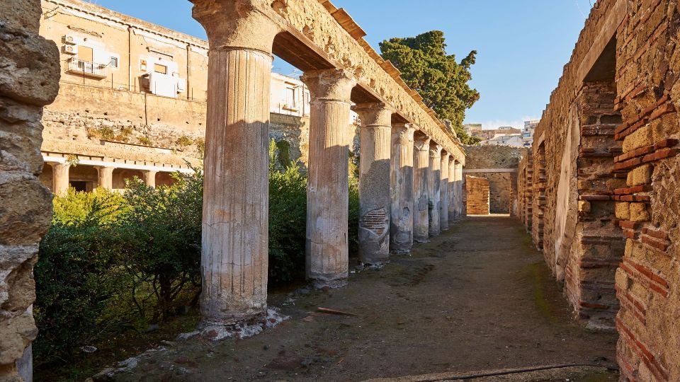 Herculaneum Tour From Sorrento