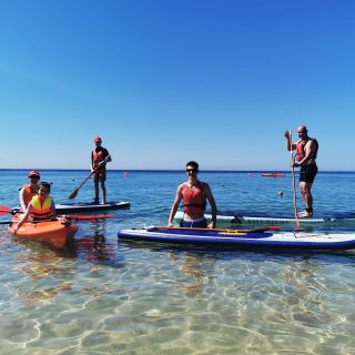 Sesimbra: Stand Up Paddle Board Bay Tour