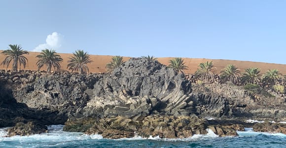 Tenerife: Underwater Lava Tongues Snorkel Excursion
