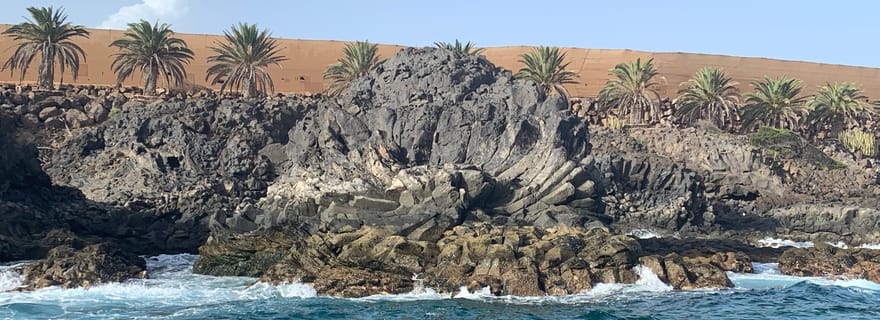 Tenerife : Excursion de snorkeling dans les langues de lave sous-marines