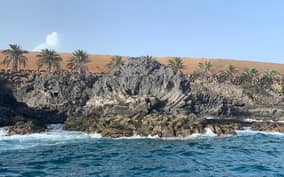 - Canarie.it