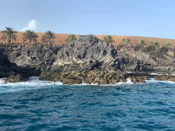 Tenerife: Excursión de Snorkel a las Lenguas de Lava Submarinas