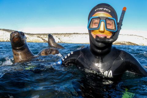 Puerto Madryn: Scuba Dive or Snorkeling with Sea Lions