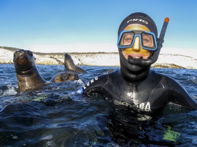 Visit Puerto Madryn Snorkeling with Sea Lions in Puerto Madryn