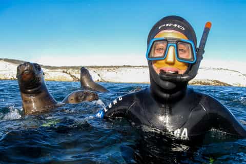Puerto Madryn: Scuba Dive and Snorkeling with Sea Lions
