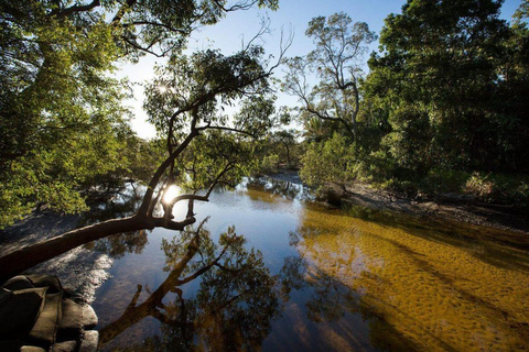 From Brisbane: Stradbroke Island Indigenous Culture Day Tour