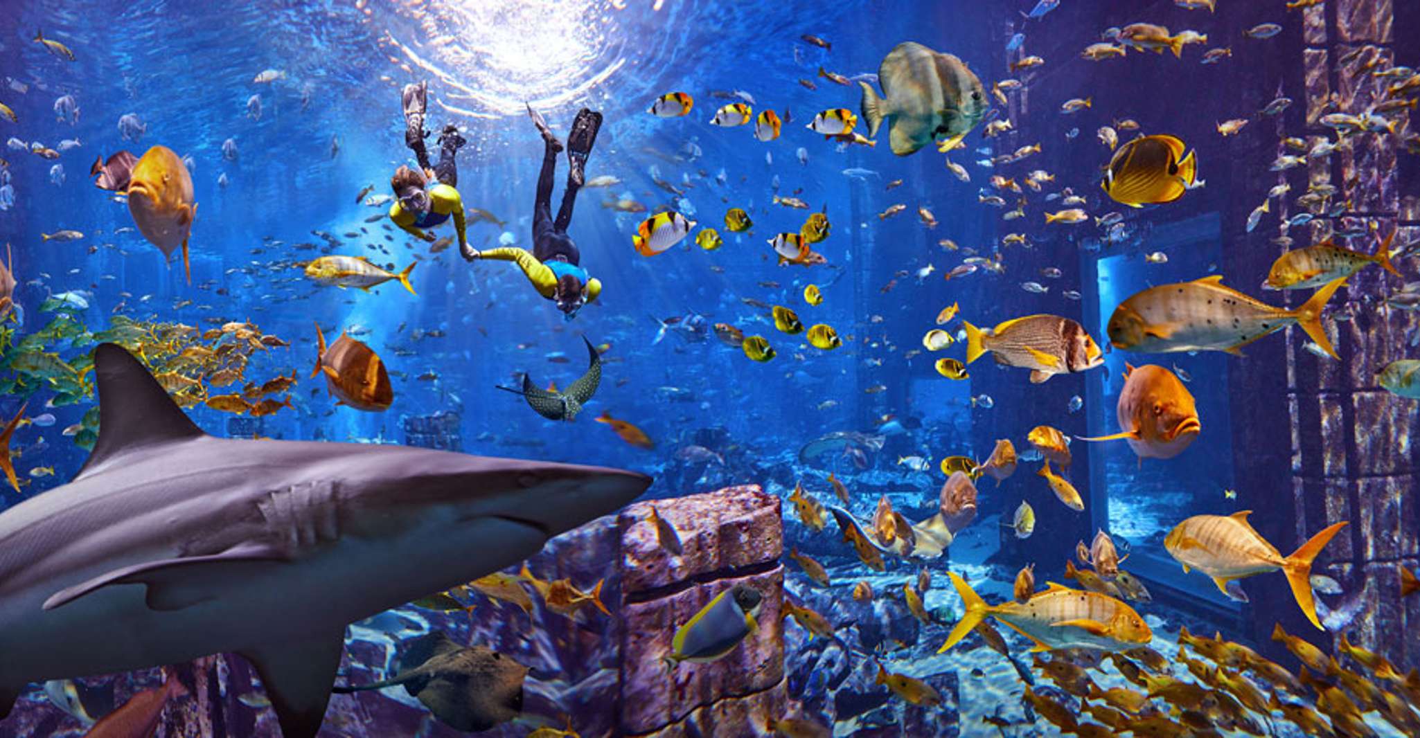 Dubai: Lost World Aquarium Ultimate Snorkel Experience