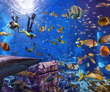 Dubai: The Lost Chambers Aquarium Snorkeling Experience