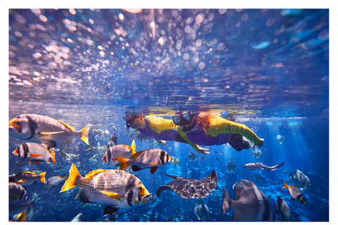 Dubai: Lost World Aquarium Ultimate Snorkel Experience Lost World Aquarium: Ultimate Snorkel