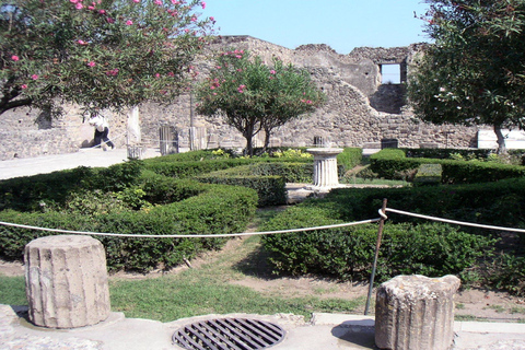 Vanuit Sorrento: halfdaagse bustour naar PompeiiStandaardoptie