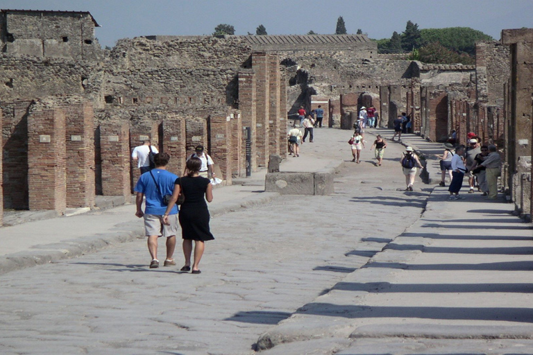 Pompeii Half-Day Coach Tour from SorrentoStandard Option