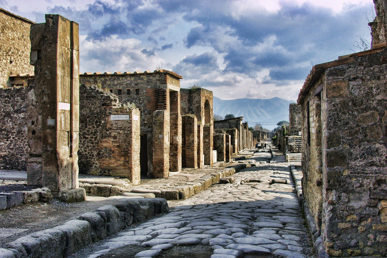 Vanuit Sorrento: halfdaagse bustour naar PompeiiStandaardoptie