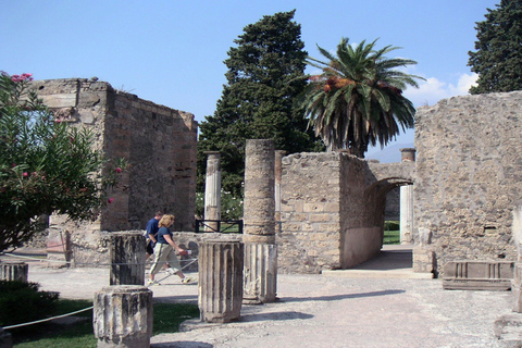 Vanuit Sorrento: halfdaagse bustour naar PompeiiStandaardoptie