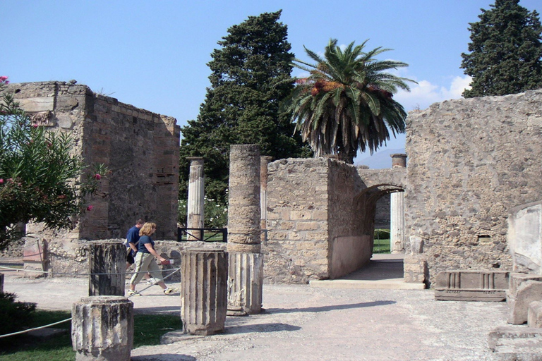 Vanuit Sorrento: halfdaagse bustour naar PompeiiStandaardoptie