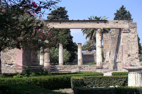 Vanuit Sorrento: halfdaagse bustour naar PompeiiStandaardoptie