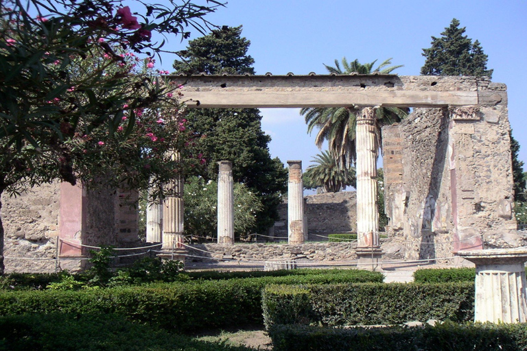 Pompeji halvdagstur med buss från SorrentoStandardalternativ