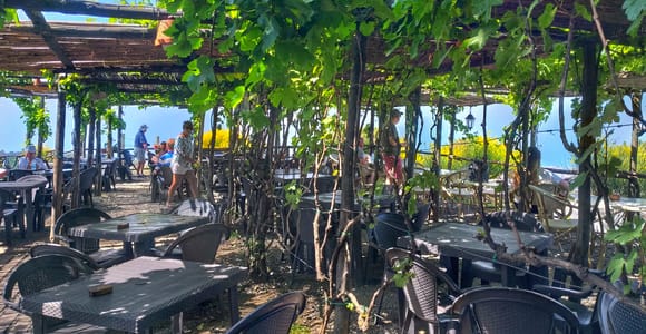 From Sorrento: Mount Vesuvius Tour with Lunch & Wine Tasting