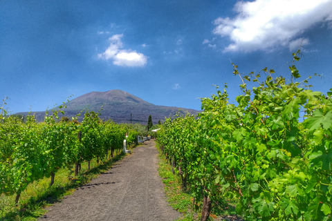 Ab Sorrent: Tour zum Vesuv mit Mittagessen und Weinprobe