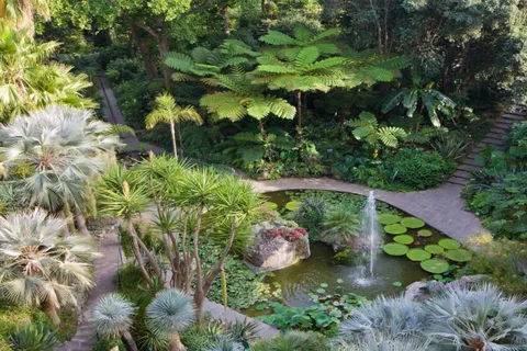 Ischia and Mortella Gardens Full-Day Tour from Sorrento
