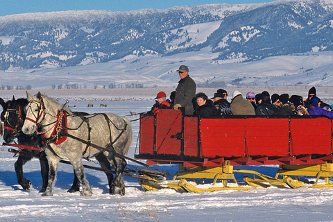Grand Teton National Park: Wildlife Tour and Sleigh Ride Full-Day Winter Tour with Sleigh Ride