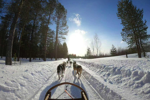 蒙特朗布朗冬季一日旅行（含缆车）蒙特朗冬季一日旅行（含缆车）