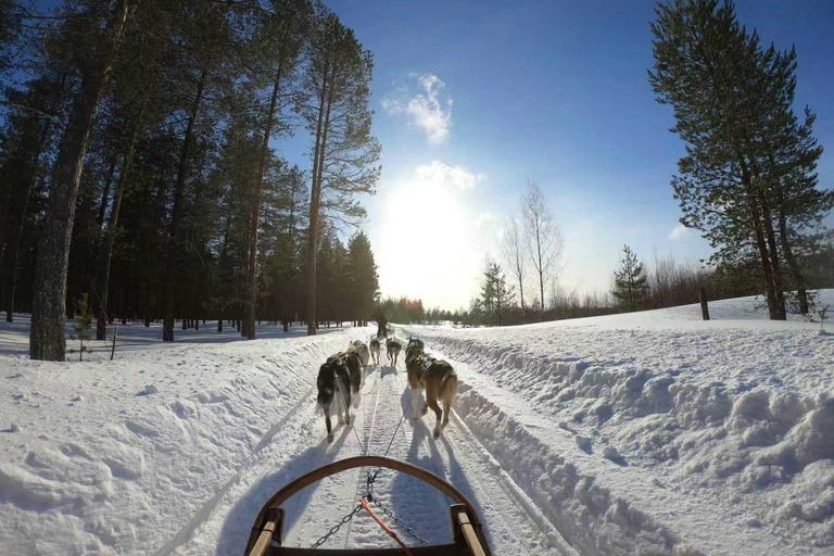 Mont-Tremblant: Winterliche Tagestour (mit Gondelfahrt)