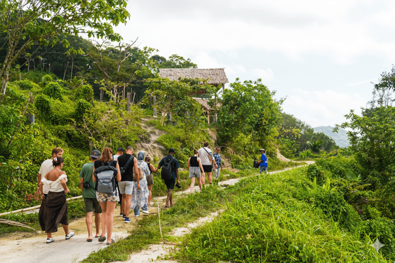 Phuket: City Highlights & Elephant Sanctuary with Lunch