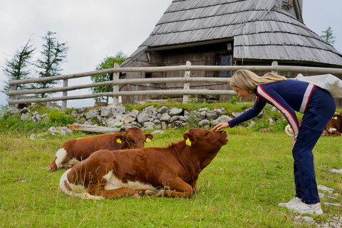 From Ljubljana: Velika Planina Tour with Meal & Photos
