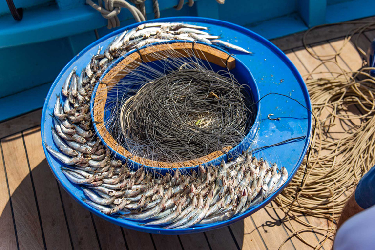Sorrento: Fishing Experience to Capri with Lunch On Board