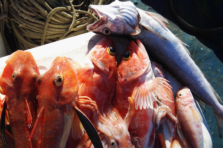 Sorrento: Fishing Experience to Capri with Lunch On Board