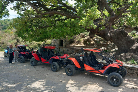Crete buggy safari