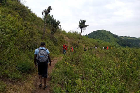 Wzgórza Ngong: Prywatna wycieczka pieszaWzgórza Ngong: Prywatna wycieczka piesza i Zip Lining Tour