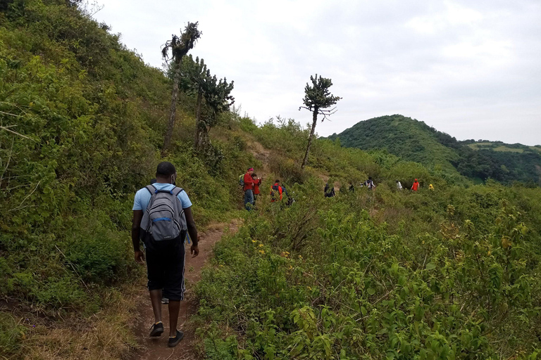 Ngong heuvels: Privé wandeltourNgong heuvels: Privétour voor wandelen en ziplinen