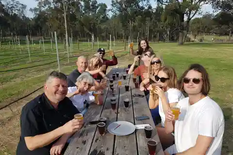 De Sydney: excursão à cervejaria Hunter Valley com almoço