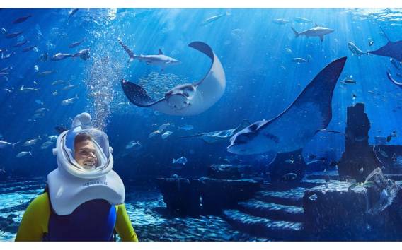 Dubai: Das Lost Chambers Aquarium Atlantis Aqua Trek