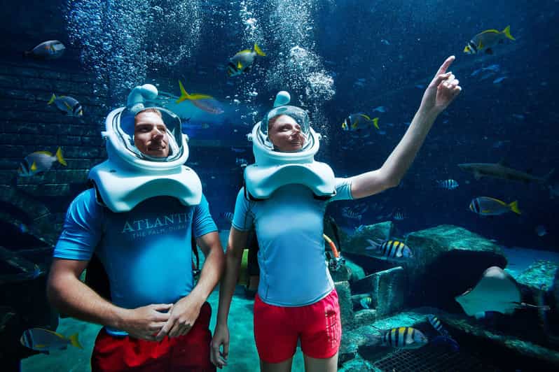 Dubai The Lost Chambers Aquarium Atlantis Aqua Trek GetYourGuide