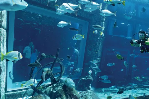 Dubai: The Lost Chambers Aquarium Atlantis Duikervaring