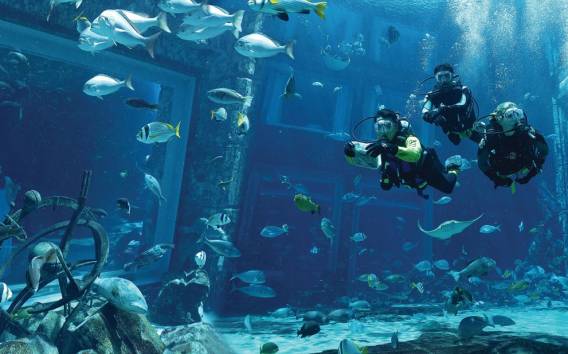 Dubai: Das Lost Chambers Aquarium Atlantis Taucherlebnis