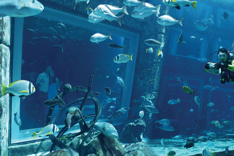 Dubai: Lost World Aquarium Atlantis Diving Experience Dive Discovery for Non-Certified Divers